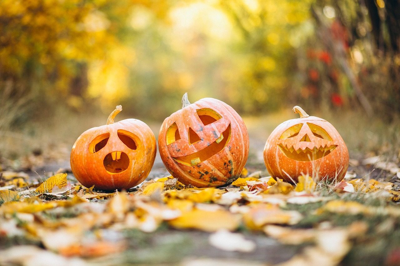 Trzy wydrążone dynie na Halloween, każda z wyciętymi twarzami i świecące od środka. Dynie mają różne wyrazy twarzy i są ustawione na tle nocnego tła."