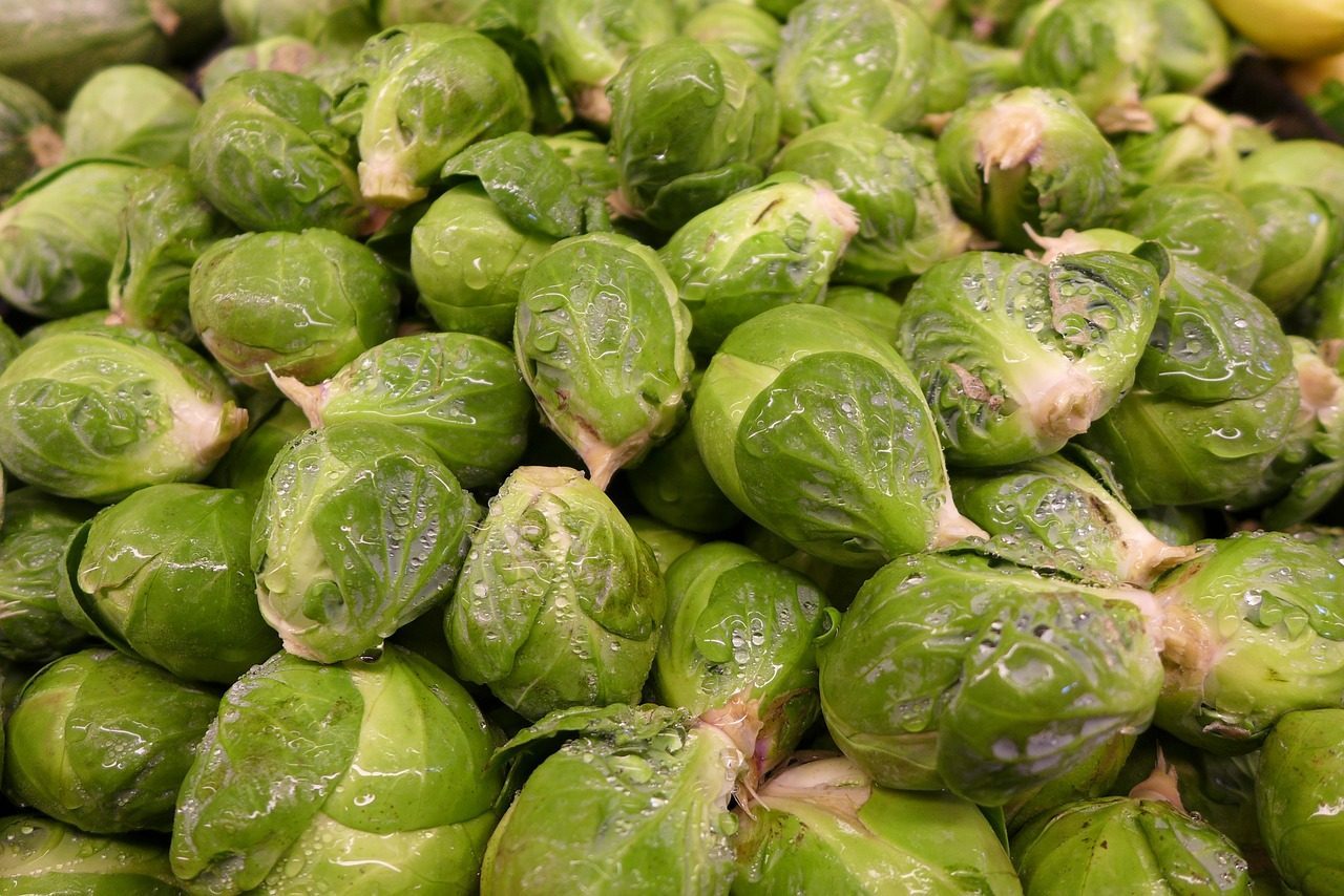 Kapusta brukselka uprawa w ogródku krok po kroku